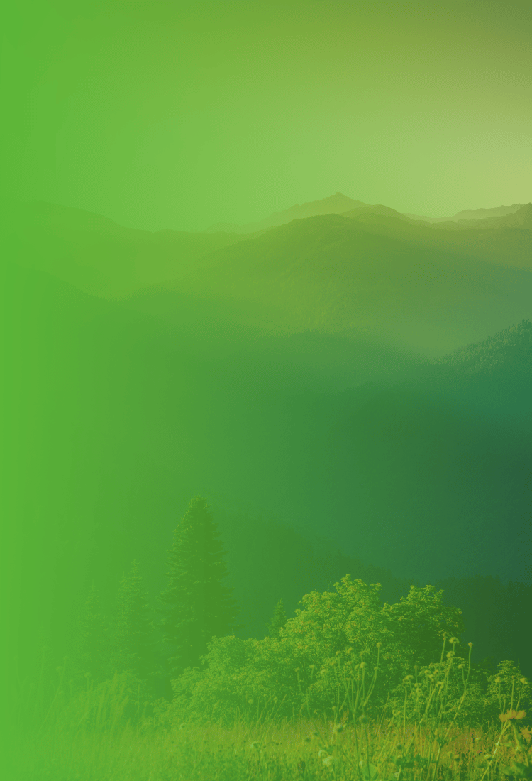 2_a467baa5-3ae0-4040-b5d6-2ff7c1d1dc58.png$ ganz24