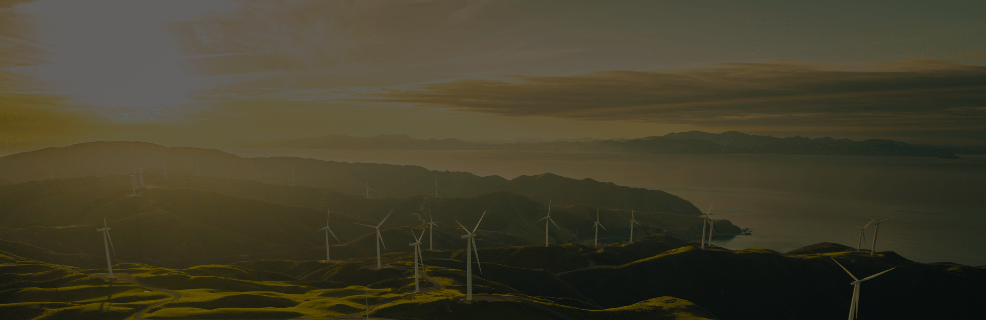 Design_ohne_Titel.png$ ganz24