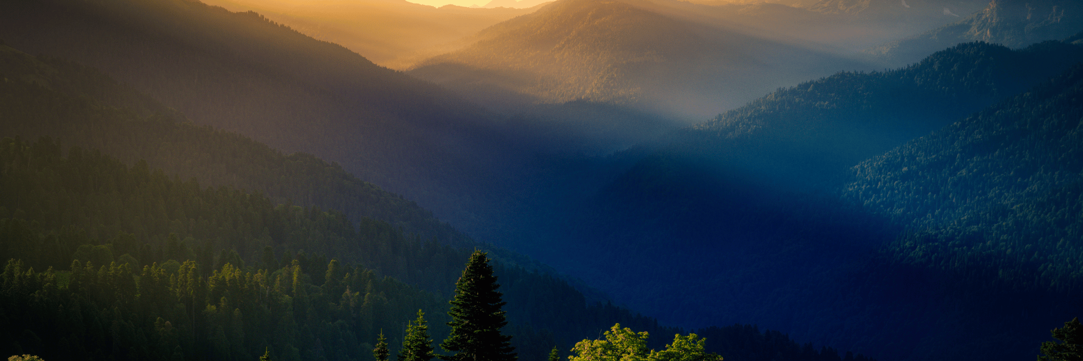 Web_Header_Shopify_2160_x_720px_1.png$ ganz24