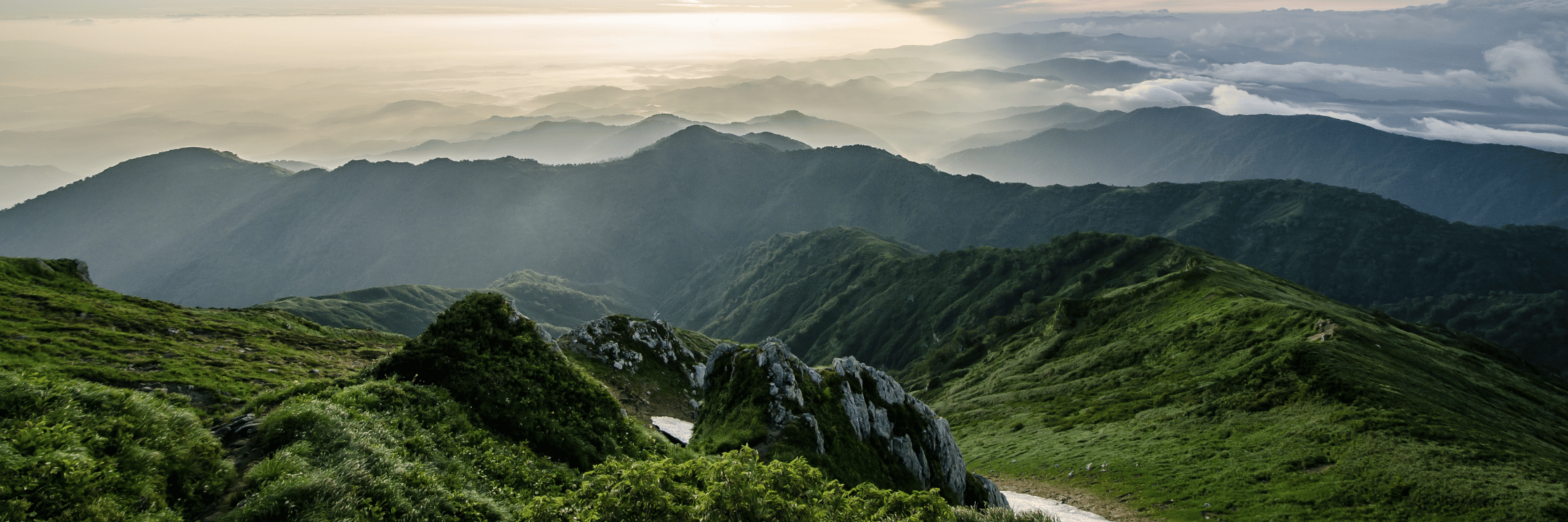 Web_Header_Shopify_2160_x_720px_2.png$ ganz24